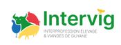 Intervig Img