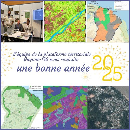 Carte De Voeux 2025