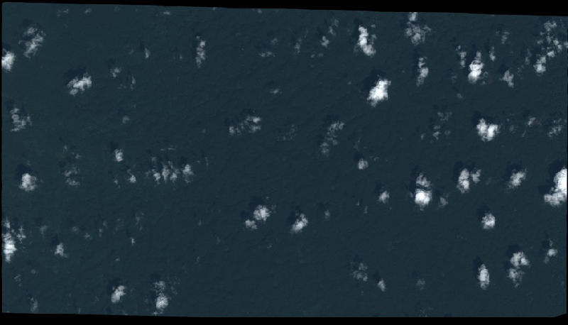 overview