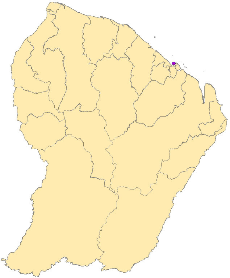 overview