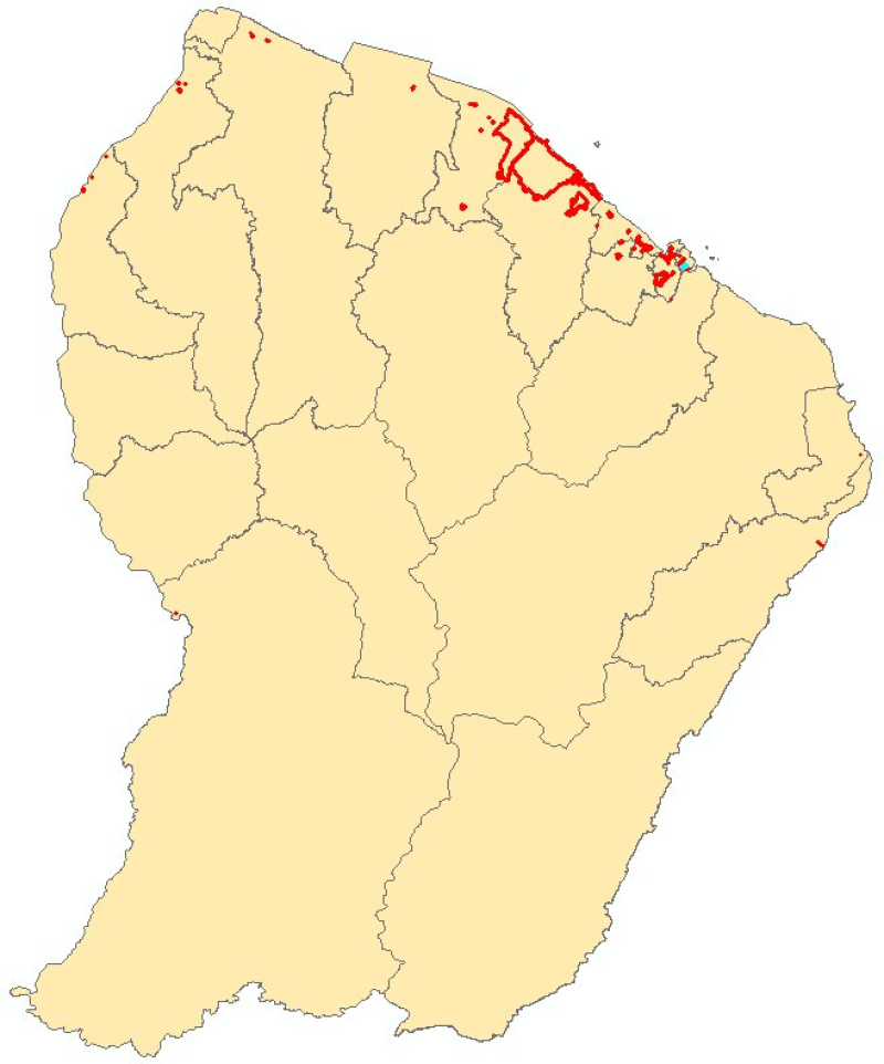 overview