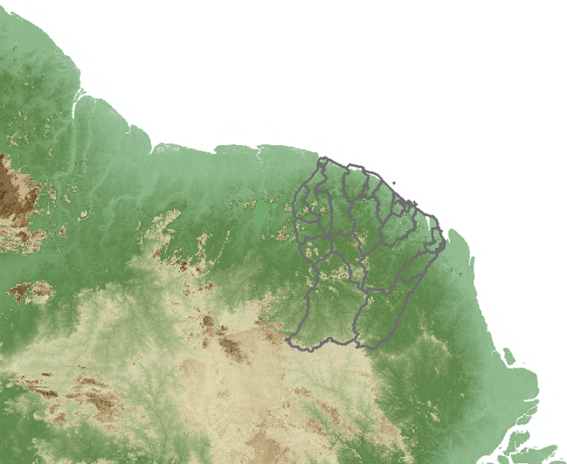 overview