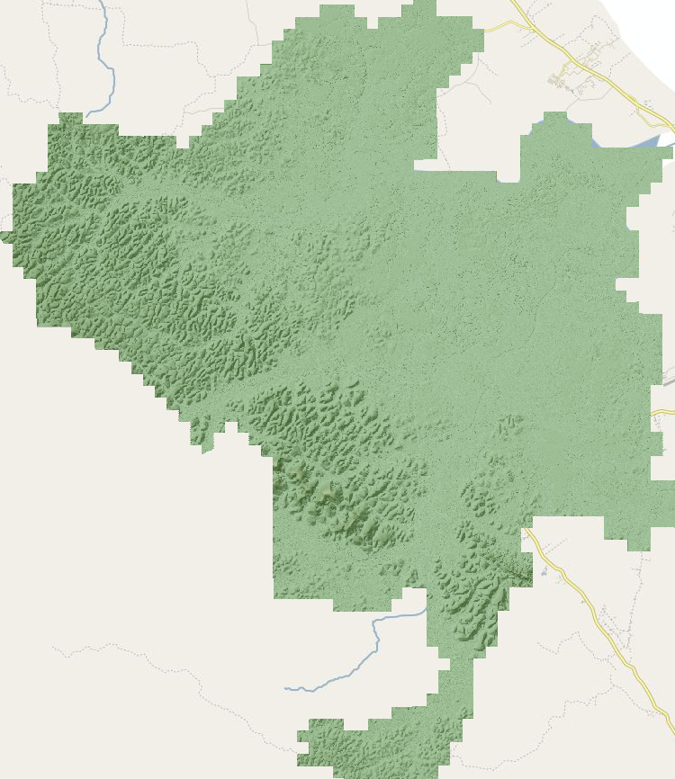 overview