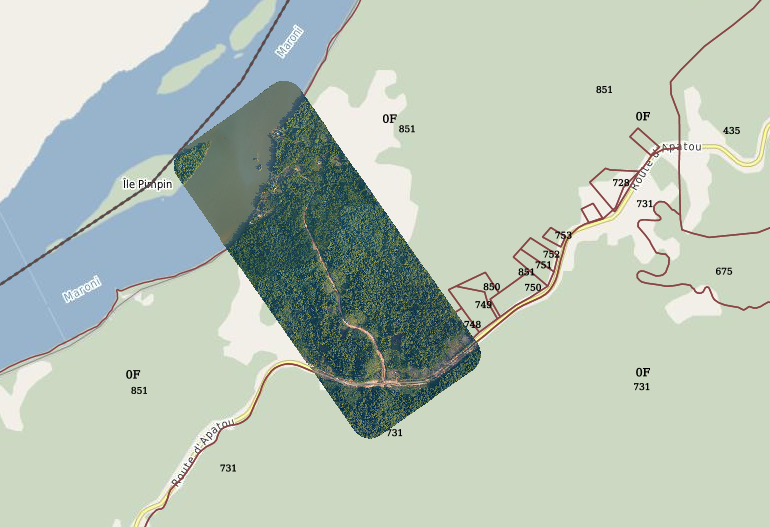 overview