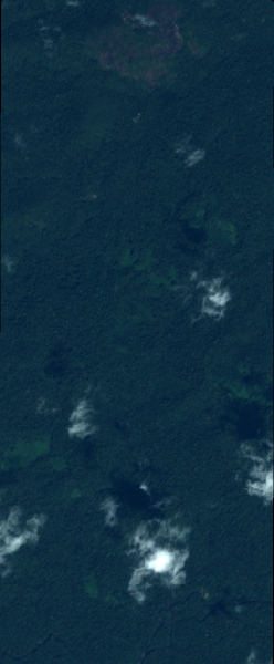 overview