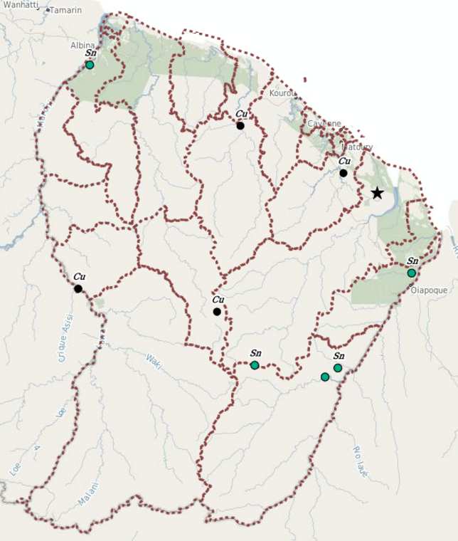 overview