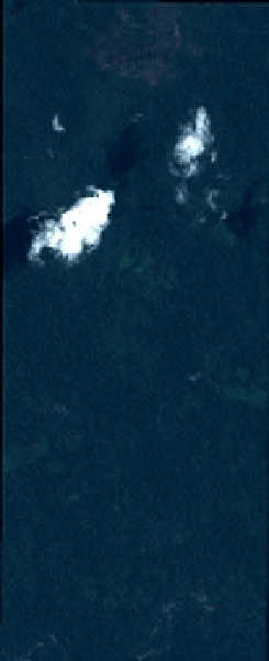 overview