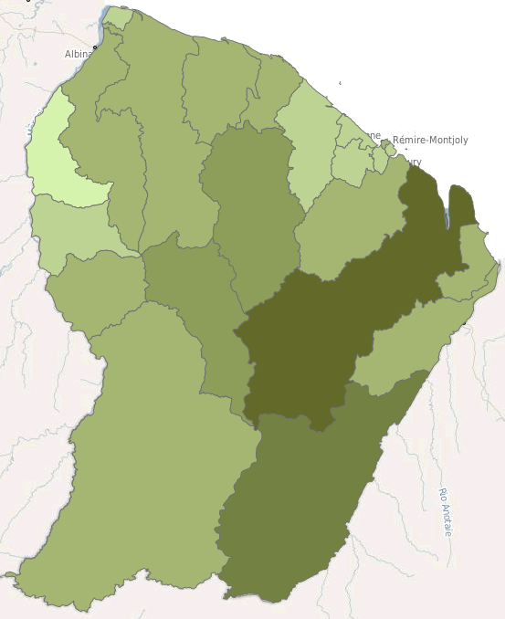 overview