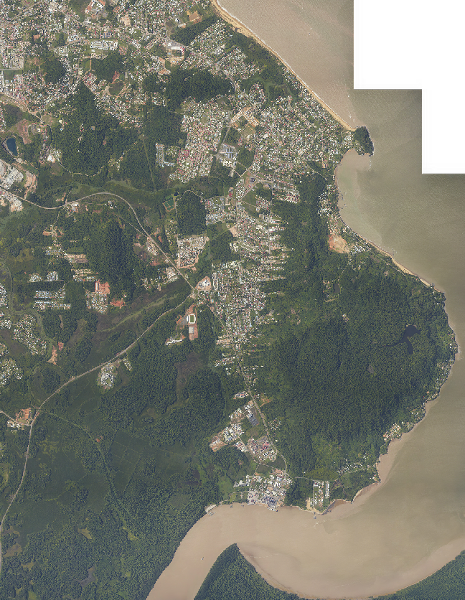 overview