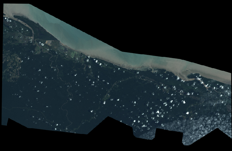 overview