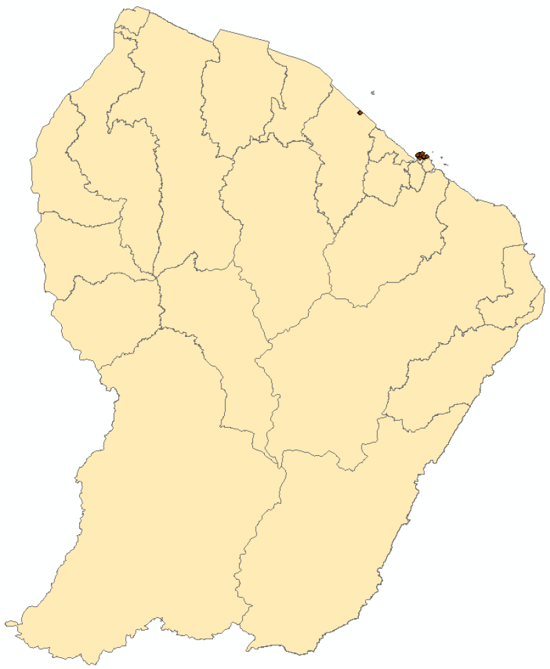 overview
