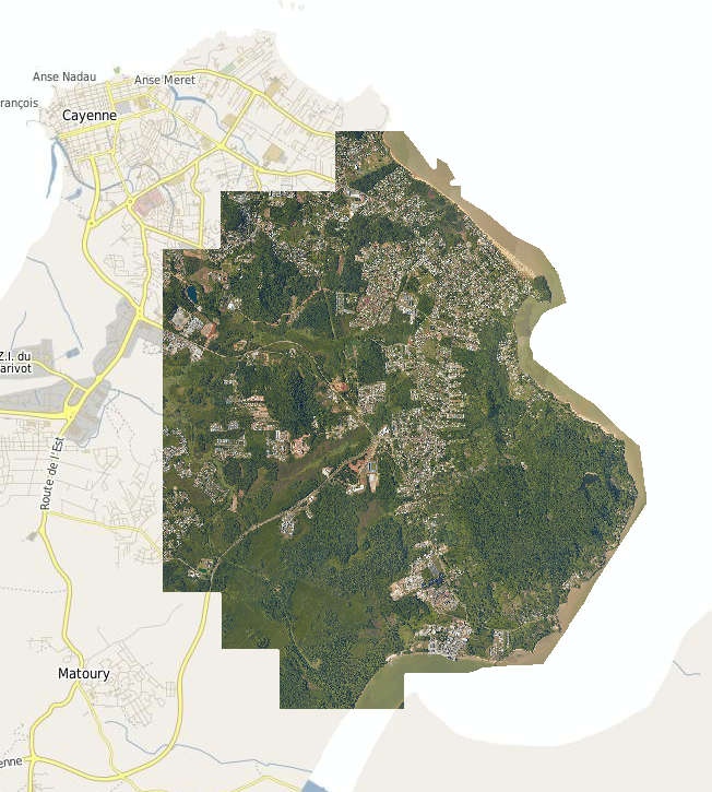 overview