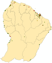 overview