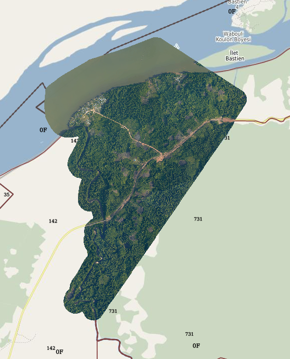 overview
