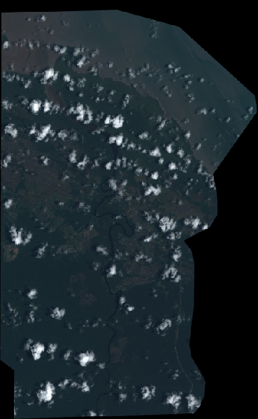overview