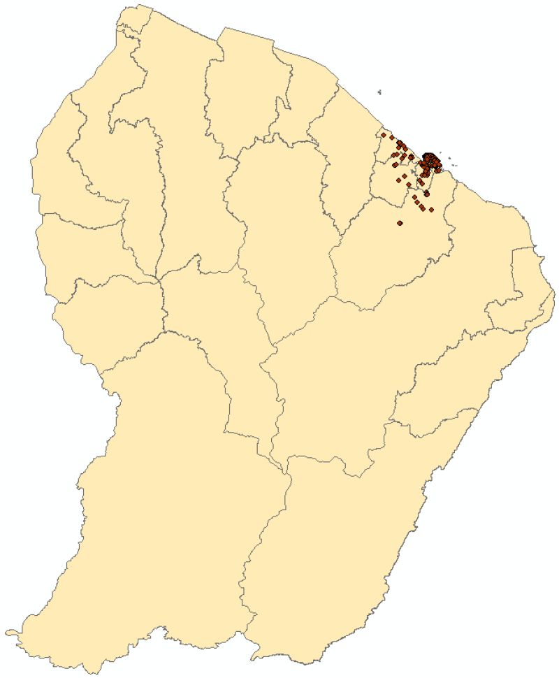 overview