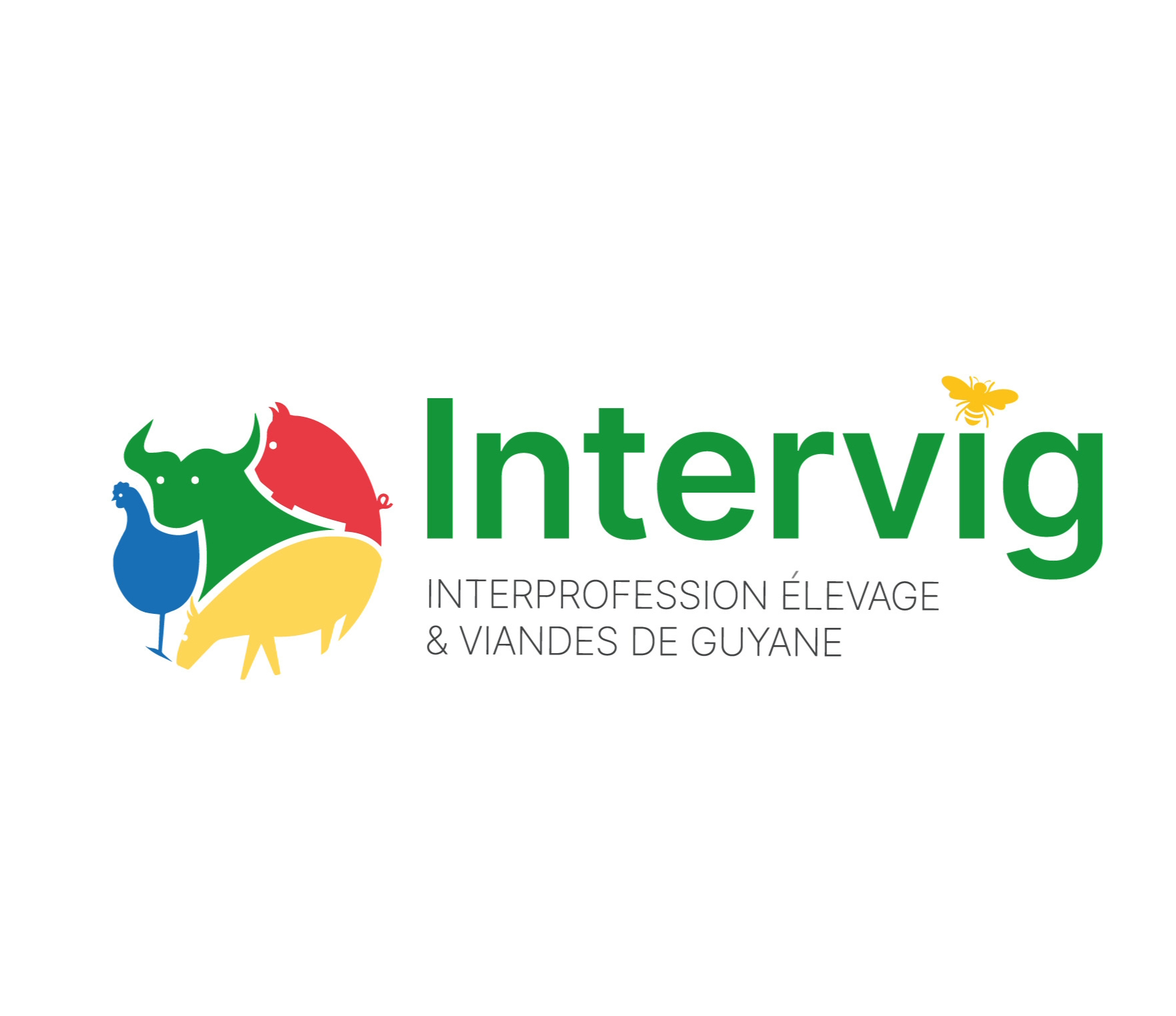 intervig-img